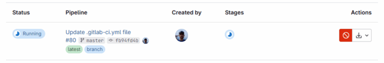 Setting up and configuring GitLab runners to execute CI/CD pipelines ...
